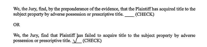 Jury verdict form